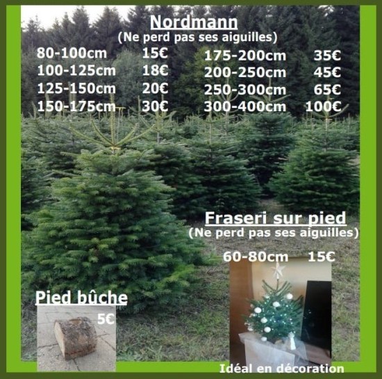 sapins